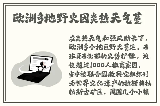 麻花传MD0174苏畅